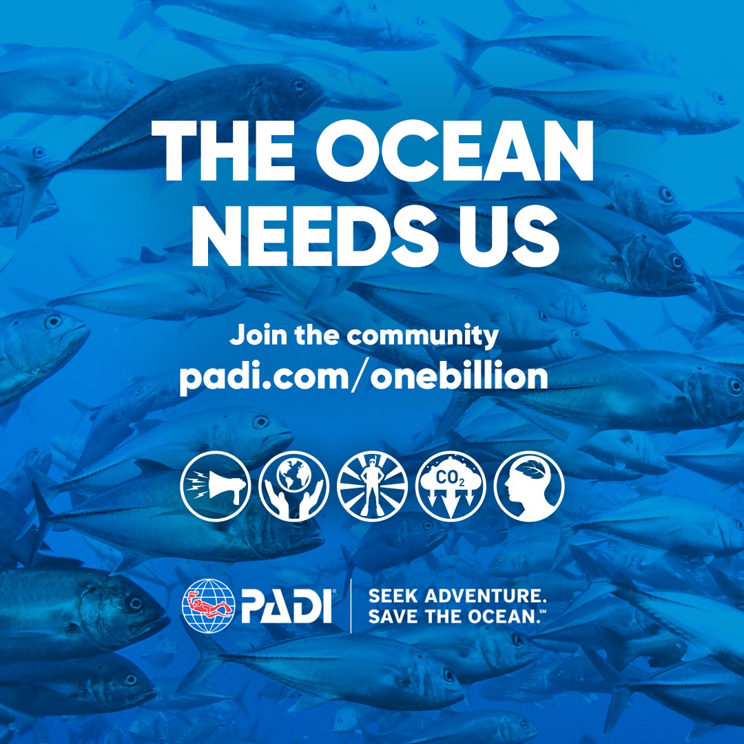 image of PADI Torchbearer ocean needs us