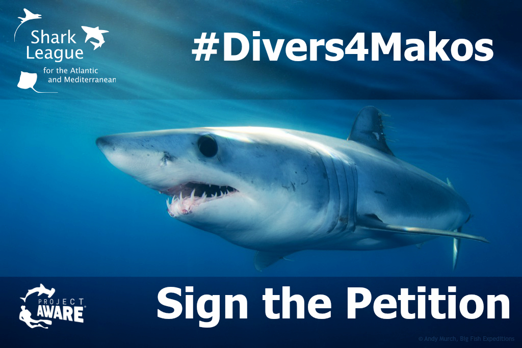 image of mako shark petition sign