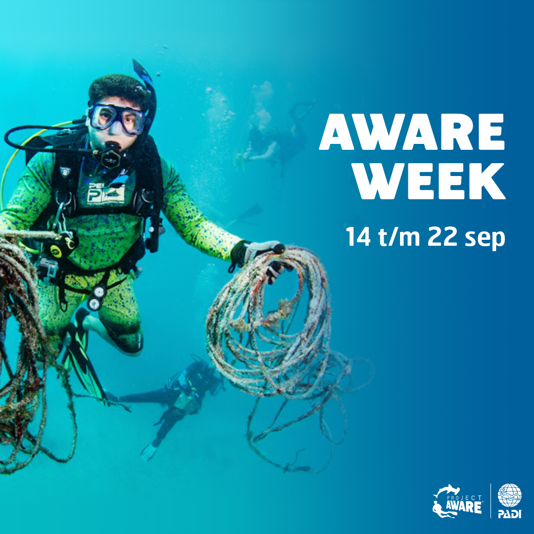 Image for AWARE Week 2019 Sign up for a course banner - Dutch