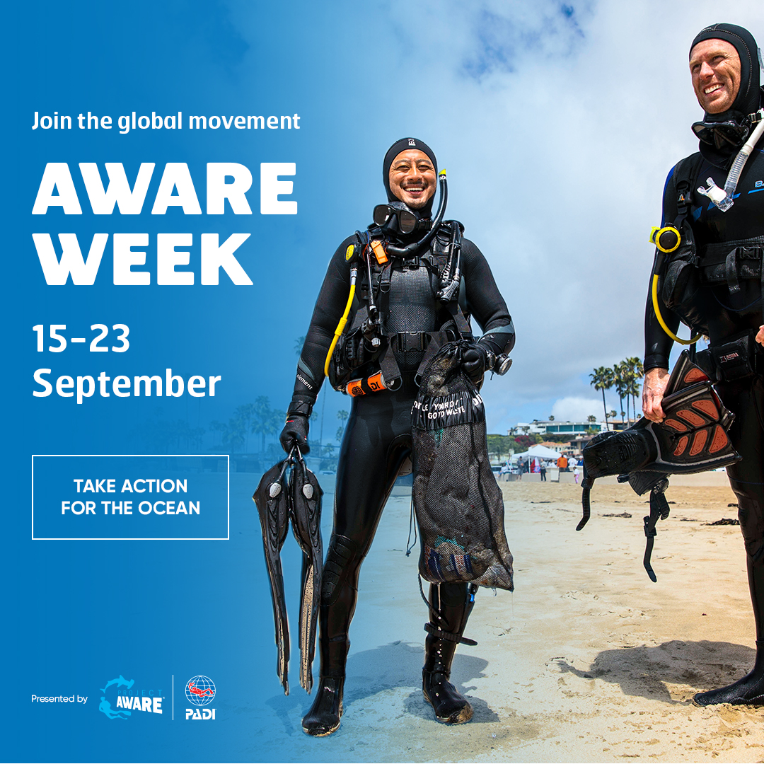 image of AWARE Week banner