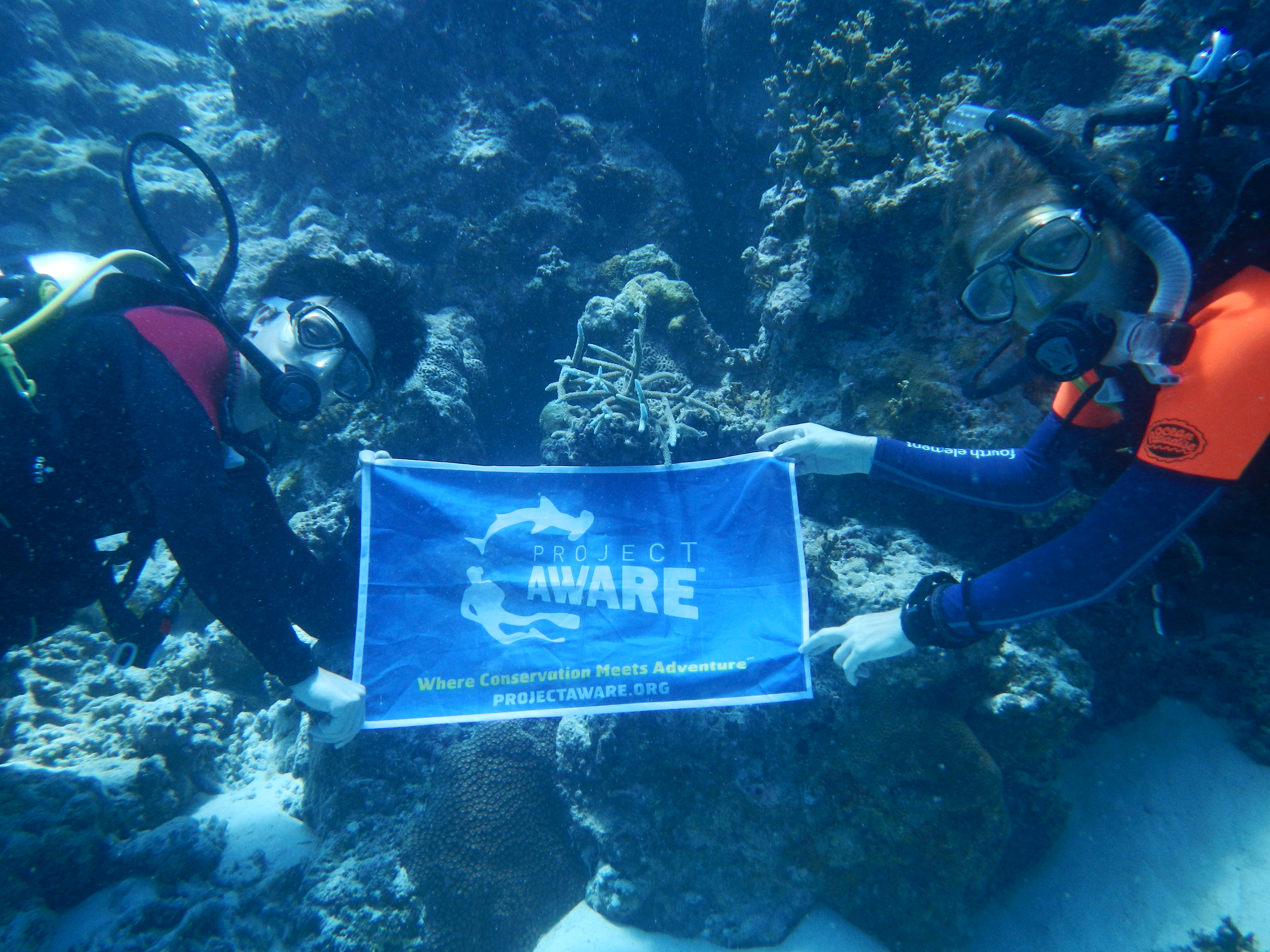 Coral replanting at COMO Maalifushi