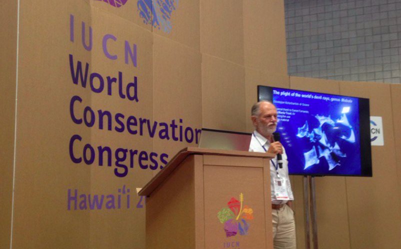 Image of Dr. Giuseppe Notarbartolo di Sciara, a member of IUCN Specialist Groups for both cetaceans and sharks