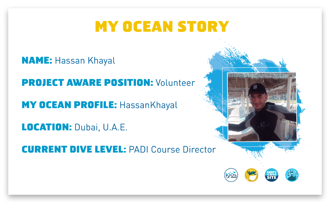 Hassan Khayal My Ocean Profile