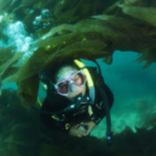 image of juanita seino Project AWARE Operations Coordinator