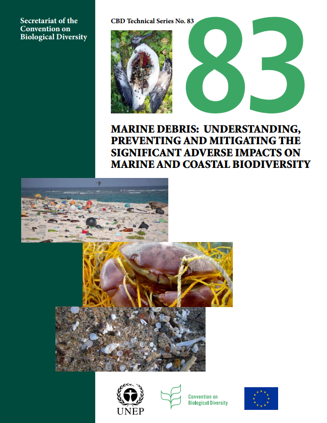 Image of UN 2016 Report on Marine Debris