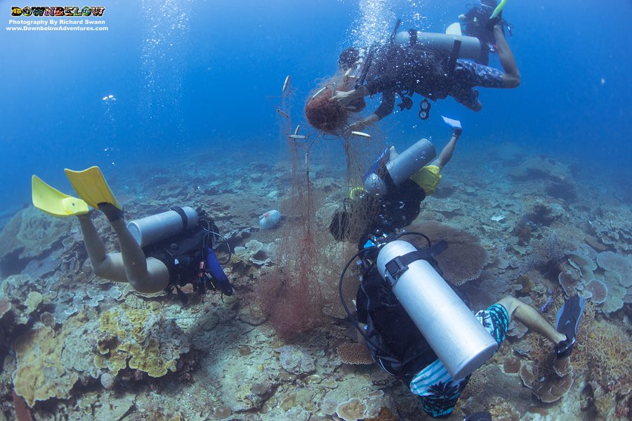 Dive Against Debris Net Removal