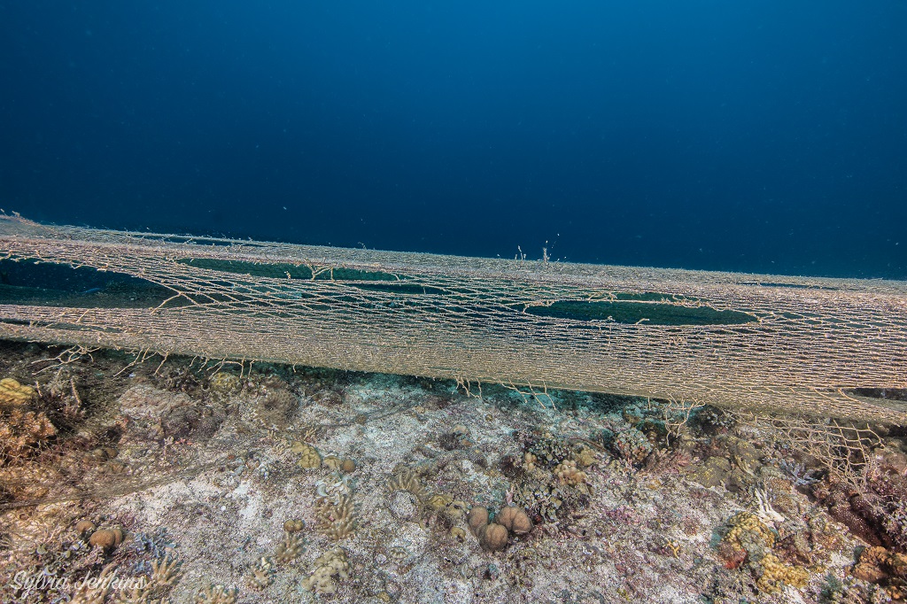 image of ghost net malapascua