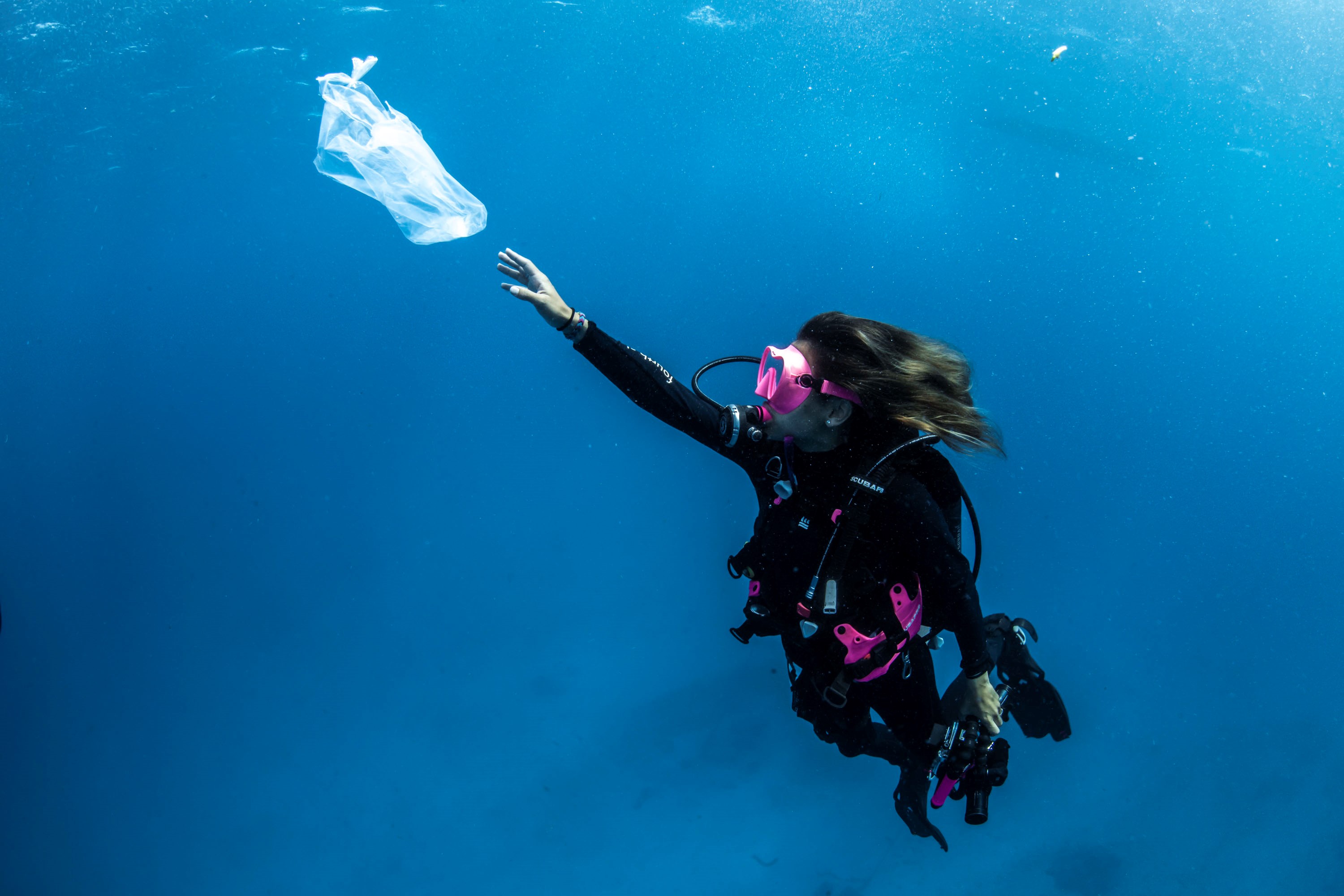 Scuba Sarah Photo by Alex Kydd