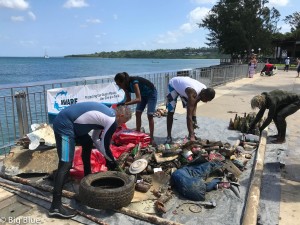 sorting rubbish