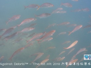 2018 Dive Against Debris™ ~ the 1st Hit   2018打擊海洋垃圾潛水計畫™  第一擊