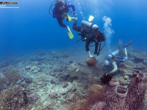 Dive Against Debris Net Removal