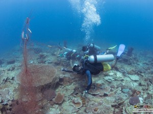 Dive Against Debris Net Removal