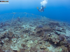 Dive Against Debris Net Removal