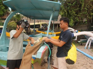 AquaMarine Diving - Bali: Dive Against Debris update