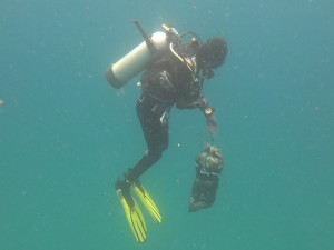 AquaMarine Diving - Bali: Dive Against Debris update