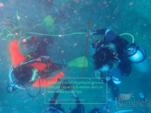 Volunteer divers cutting into monofilament net