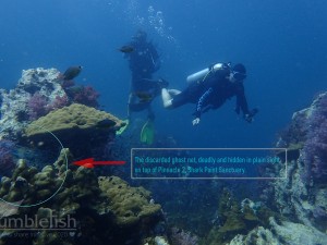 hidden in plain sight, discarded ghost net on corals