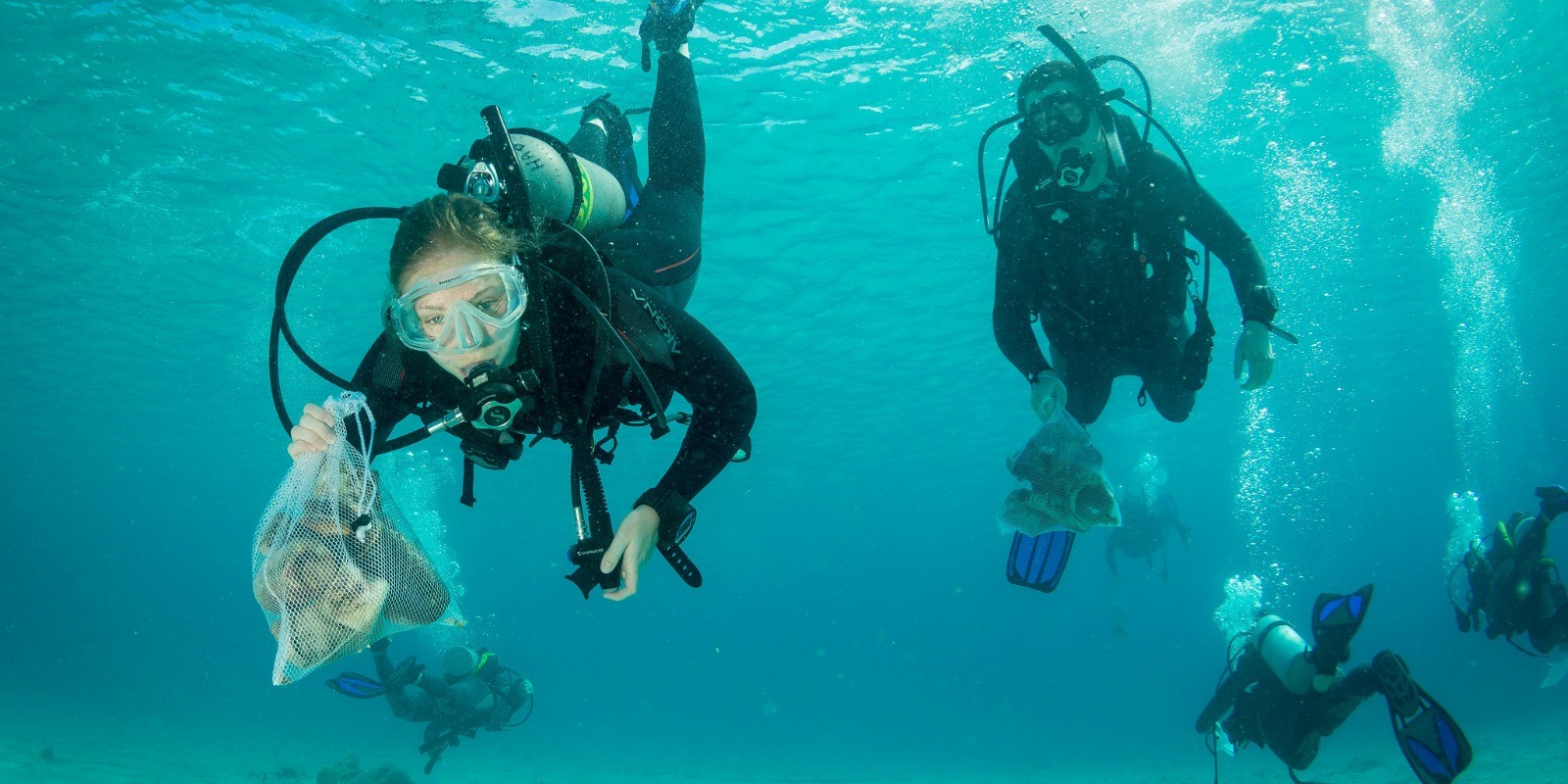 Dive Against Debris Group Survey