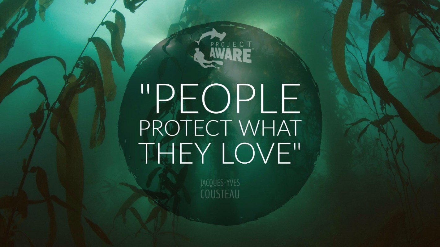 People protect what they love