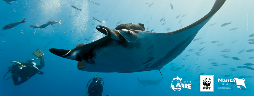 Image of manta ray and diver with Project AWARE and partners logos