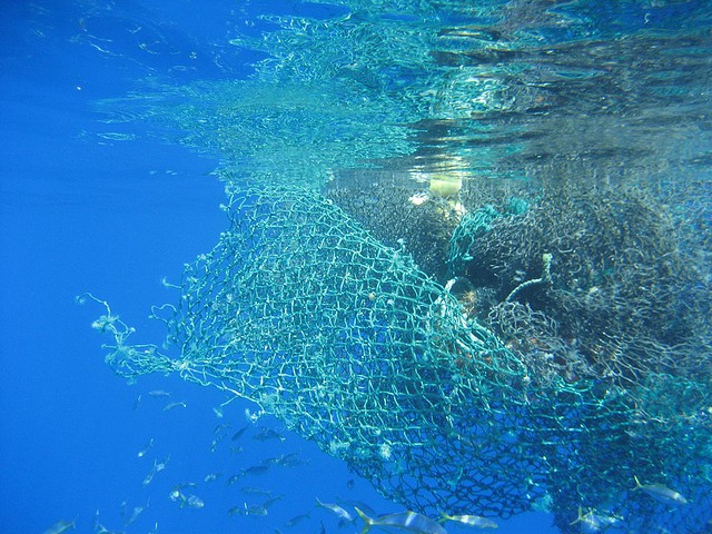 Image of ghost net