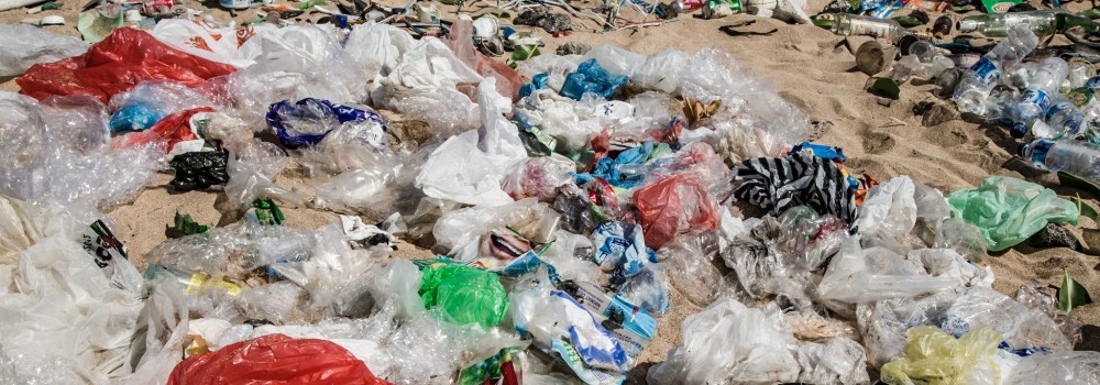 Image of plastics on beach UN Environment