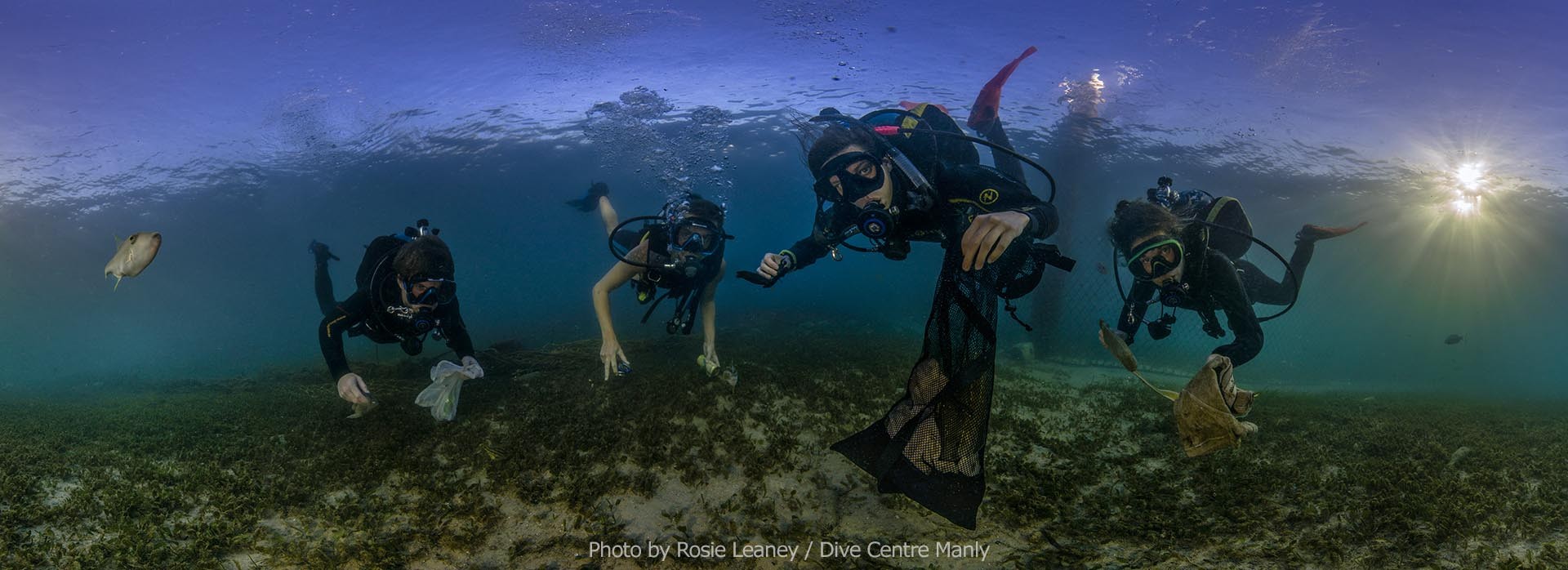 Dive Against Debris World Oceans Day