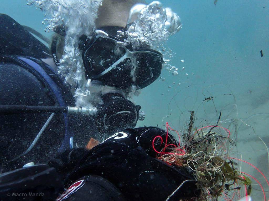 image of diver removing fishing lines