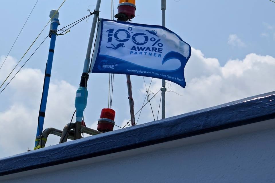 image of 100 AWARE Flag