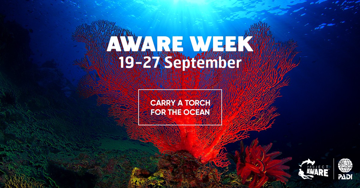 image of AWARE Week 2020