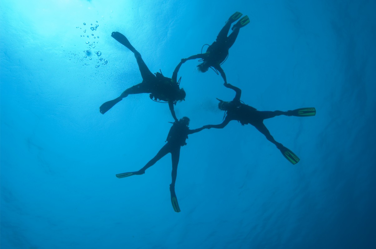 divers circle