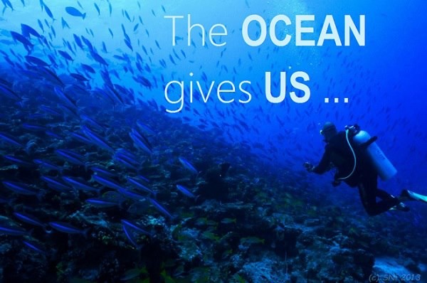 Image of Giving Tuesday Ocean