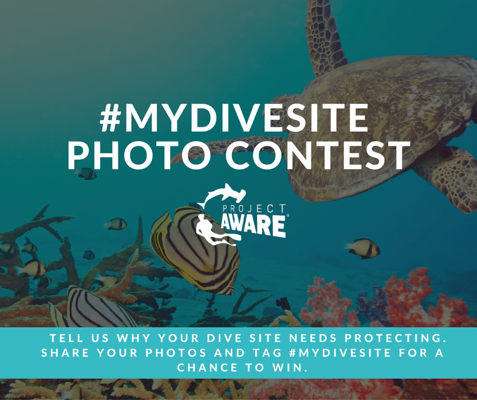 MyDiveSite