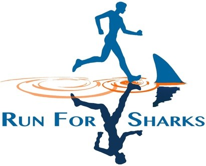 image of run for sharks logo