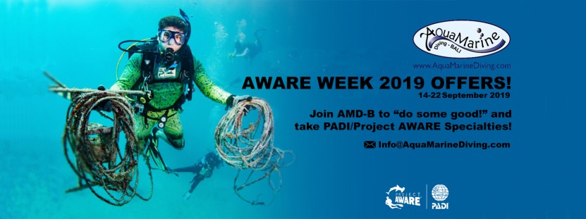 AquaMarine Diving - Bali AWARE Week Specials!